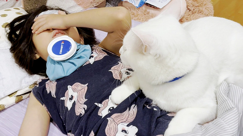 高熱を出したお姉ちゃんを心配する猫