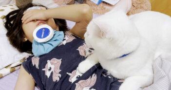 高熱を出した小学生のお姉ちゃんを心配する猫