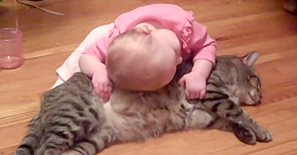 マトリョーシカ 猫 ニコラエヴァ 家族 赤ちゃん ある日、不思議な