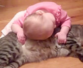 「モフモフだ〜い好き！」と赤ちゃんに激しく懐かれた猫さんの反応がとっても優しくて心が温まる♡