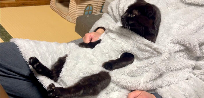 あったかいんだからぁ♪ 『猫と着る毛布』にお父さんと一緒に入った猫さん。ヌクヌクを楽しむ姿に癒される (*´ω｀*)♡