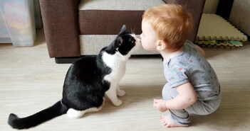 出会ってすぐに最高の家族になった猫と赤ちゃん。ふたりの幸せいっぱいの日常の様子に自然と心が温まる (*´ω`*)♡