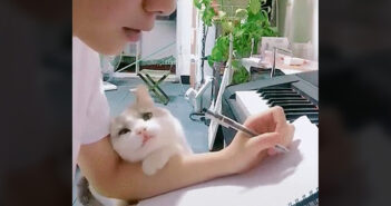 「ねぇ、まだ終わらないの？」作業を続ける飼い主さんを覗き込んでくる猫。その愛くるしい姿はまるで恋人でした♡