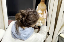 2階の窓から入って来た猫