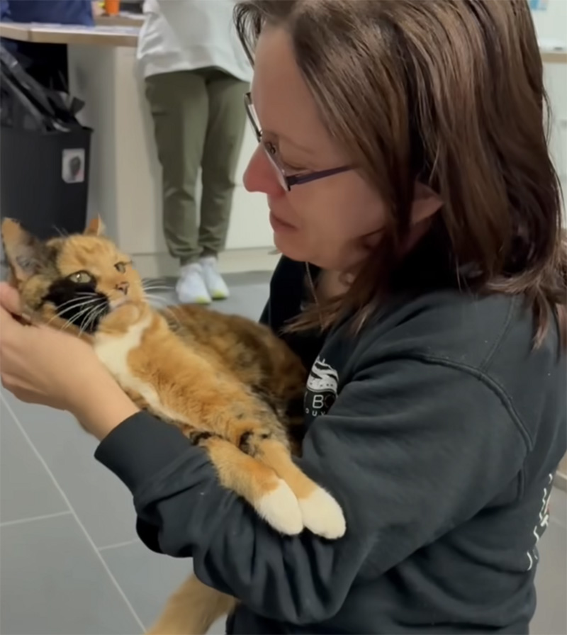 8年ぶりに飼い主さんと再会した猫