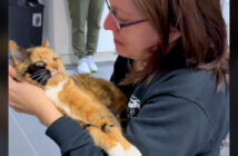 8年ぶりに飼い主さんと再会した猫