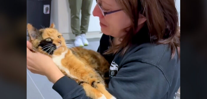 8年ぶりに飼い主さんと再会した猫