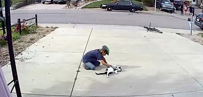 怖い猫と誤解されて、多くの人に避けられていた猫。ある時、飼い主さんが毎日猫と遊ぶ少年に気づき、大きな幸せを感じる