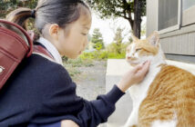女の子をお出迎えする猫