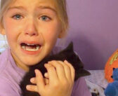 お別れした愛猫とそっくりの子猫に出会った女の子。嬉しさのあまり感情を爆発させる様子に胸が熱くなる