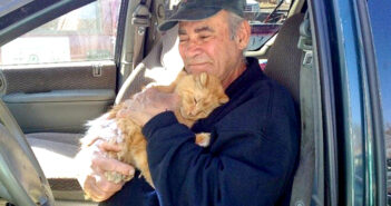 猫を助け続ける男性