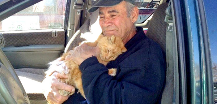 32年間、金属スクラップを売ったお金で野良猫達にご飯を与えてきた退役軍人。助けた猫達に信頼される姿に胸が熱くなる