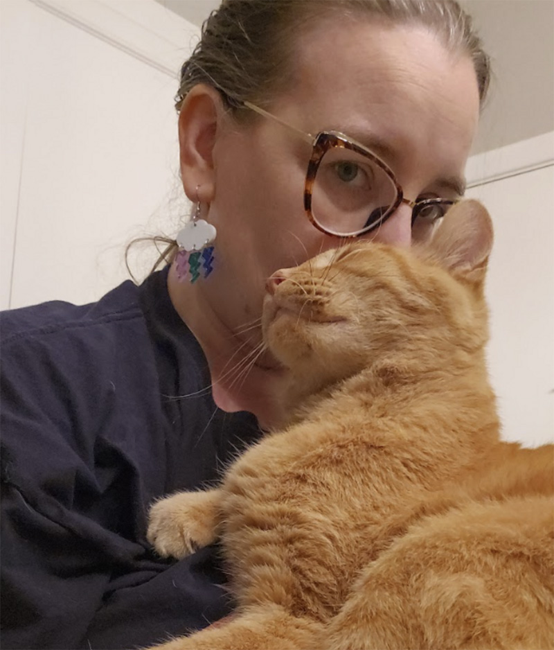 頭を擦り付ける猫