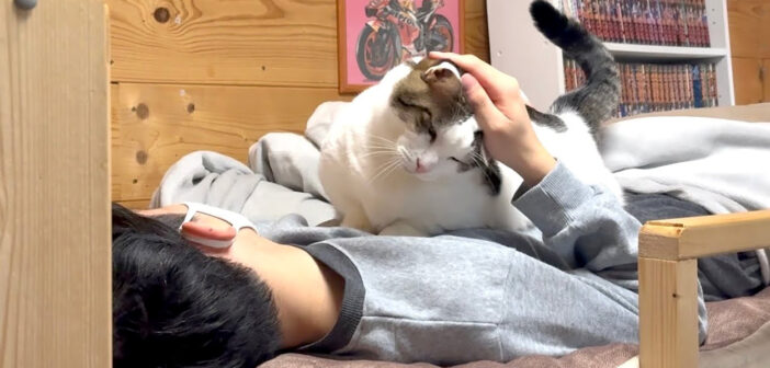 しばらく猫部屋で寝ることになったお兄ちゃんを大歓迎する猫さん。甘えたい気持ちが止まらなくなる様子が可愛すぎる♡