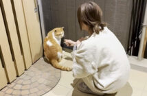 寒い中玄関に現れた庭猫