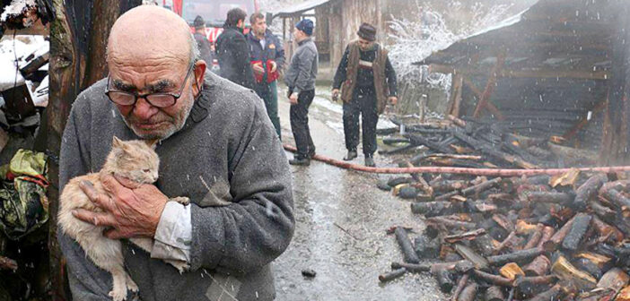 猫を抱きしめるおじいちゃん