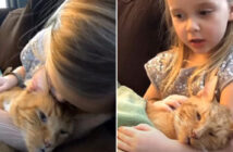 旅立つ猫のために歌う女の子