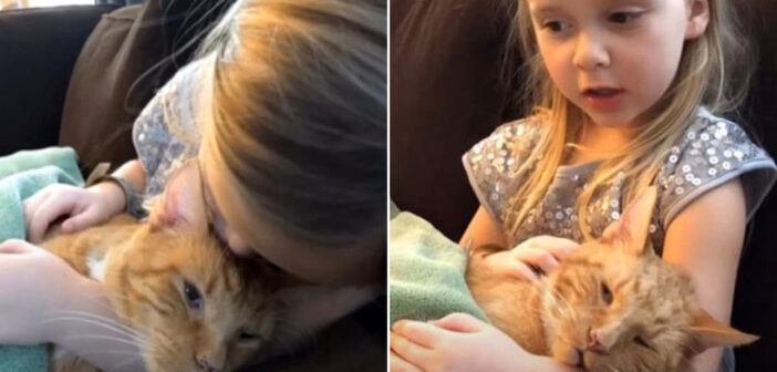 旅立つ猫のために歌う女の子