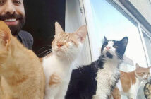 猫を助けるピアニスト