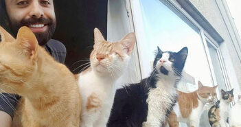 猫を助けるピアニスト