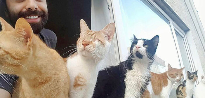 猫を助けるピアニスト