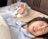 朝6時に噛みついて飼い主さんを起こす子猫が怖すぎる！ その激しい起こし方に飼い主さんも強制覚醒 (*ﾟ0ﾟ)！