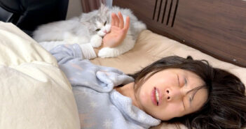 朝6時に噛みついて飼い主さんを起こす子猫が怖すぎる! その激しい起こし方に飼い主さんも強制覚醒 (*゚0゚)! 飼い主さんを噛んで起こす子猫