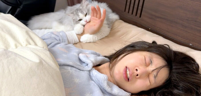 飼い主さんを噛んで起こす子猫