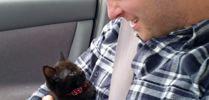 「迎えに来てくれたの?」保護施設で一直線に手の中に収まってきた子猫。帰りの車で次々と愛らしい姿を見せてくれた♪