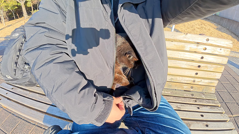 服に入った黒猫