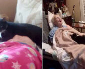 最期を迎えたおばあちゃんから、決して離れようとしない猫。懸命に元気づけようとする様子に胸が熱くなる