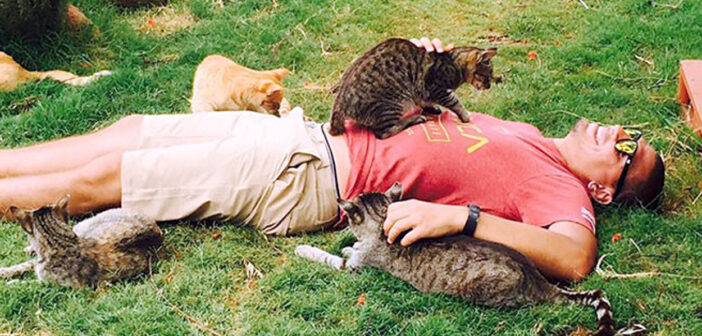 『猫の楽園』がハワイにあった！ 800匹以上の愛らしい猫達が出迎えてくれる、夢のような保護施設に心がポカポカ温まる