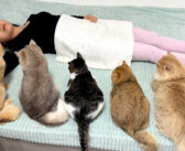 飼い主さんが死んでしまったのではないかと勘違いした猫達。次々と集まって来て、飼い主さん思いの姿を見せてくれた♡