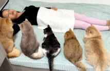 飼い主さんを心配する猫達