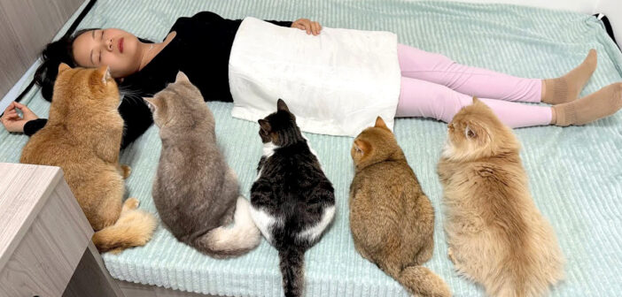 飼い主さんが死んでしまったのではないかと勘違いした猫達。次々と集まって来て、飼い主さん思いの姿を見せてくれた♡