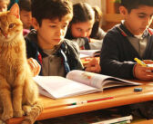 ある日、小学3年生の教室に迷い込んだ野良猫。どうやら教室がとても気に入ったようで、子供達と一緒に勉強し始める♪
