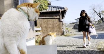 お姉ちゃんをお出迎えする猫達