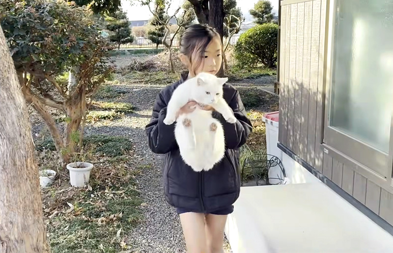庭猫と一緒に帰宅する女の子