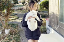 庭猫と一緒に帰宅する女の子