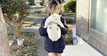 庭猫と一緒に帰宅する女の子