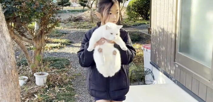 お姉ちゃんに抱っこされながら帰宅する庭猫が可愛すぎる♪ 完全に心が通じ合ってるふたりの姿に思わずホッコリ (*´ｪ｀*)♡