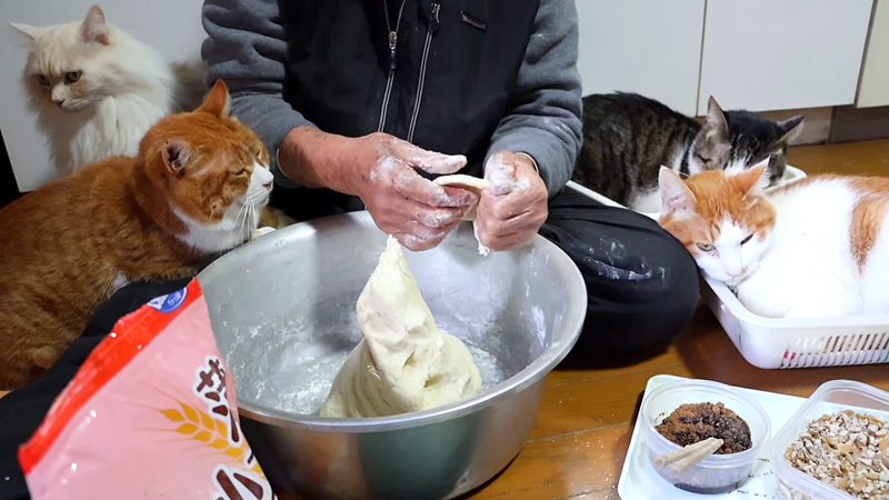 ひゅうず作りが気になる猫達