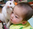 赤ちゃんと猫さん