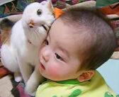 赤ちゃんのことが大好きな猫さんと、放っておいて欲しい赤ちゃん。ふたりの可愛い攻防に思わずホッコリ (*´ω｀*)♡