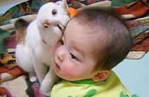 赤ちゃんと猫さん