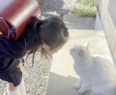 小学生の女の子が庭猫に人間の挨拶を教え続けると… 完全に挨拶だと理解したようで、とっても可愛い光景が ( *´艸｀)♡