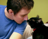 傷ついた兵士の心を救った野良猫が突然行方不明に。偶然訪れた譲渡会で、見覚えのある手がケージの隙間から伸びてきて…