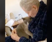 アルツハイマー病が進行した飼い主さんに一日中寄り添う猫。飼い主さんを癒やし続ける優しい姿に思わず胸が熱くなる
