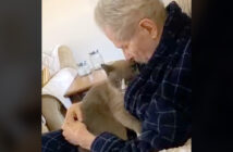 アルツハイマーの飼い主さんに寄り添う猫