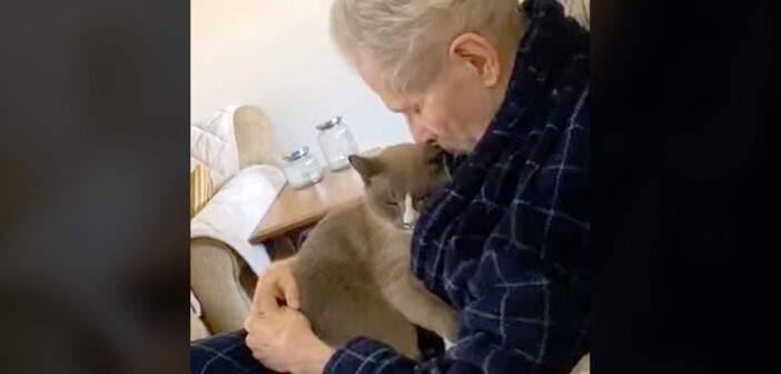 アルツハイマーの飼い主さんに寄り添う猫